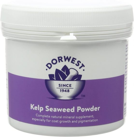 DORWEST HERBS Kelp Seaweed Powder for Dogs and Cats 500g