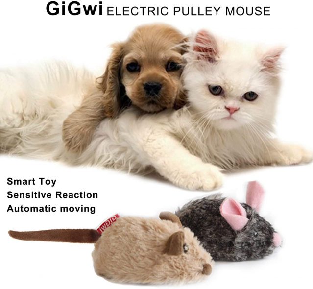 gigwi cat toys