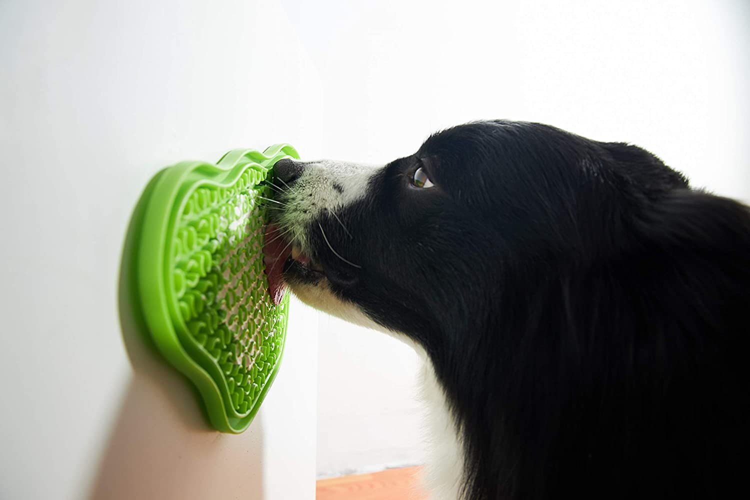 PetDreamHouse PAW Slow Lick Pad, Non-Slip Lick Mat for Dogs & Cats, Anxiety Relief, Durable TPE, Suction Cup Grip - Image 3