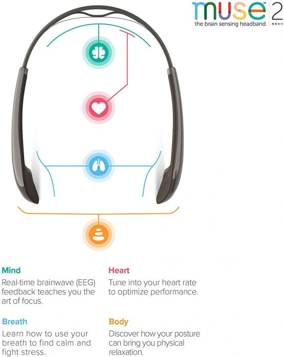 Muse 2: the Brain-Sensing Headband - Image 3