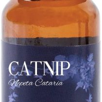 Mystic Moments | Catnip Essential Oil - 10ml - 100% Pure