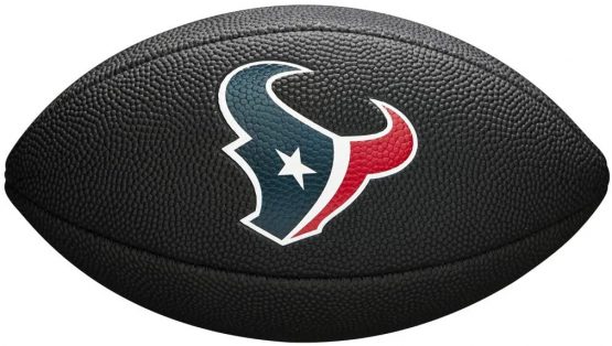 Wilson Sporting Goods NFL Houston Texans Team Logo Football, Black, Mini Size - Image 2