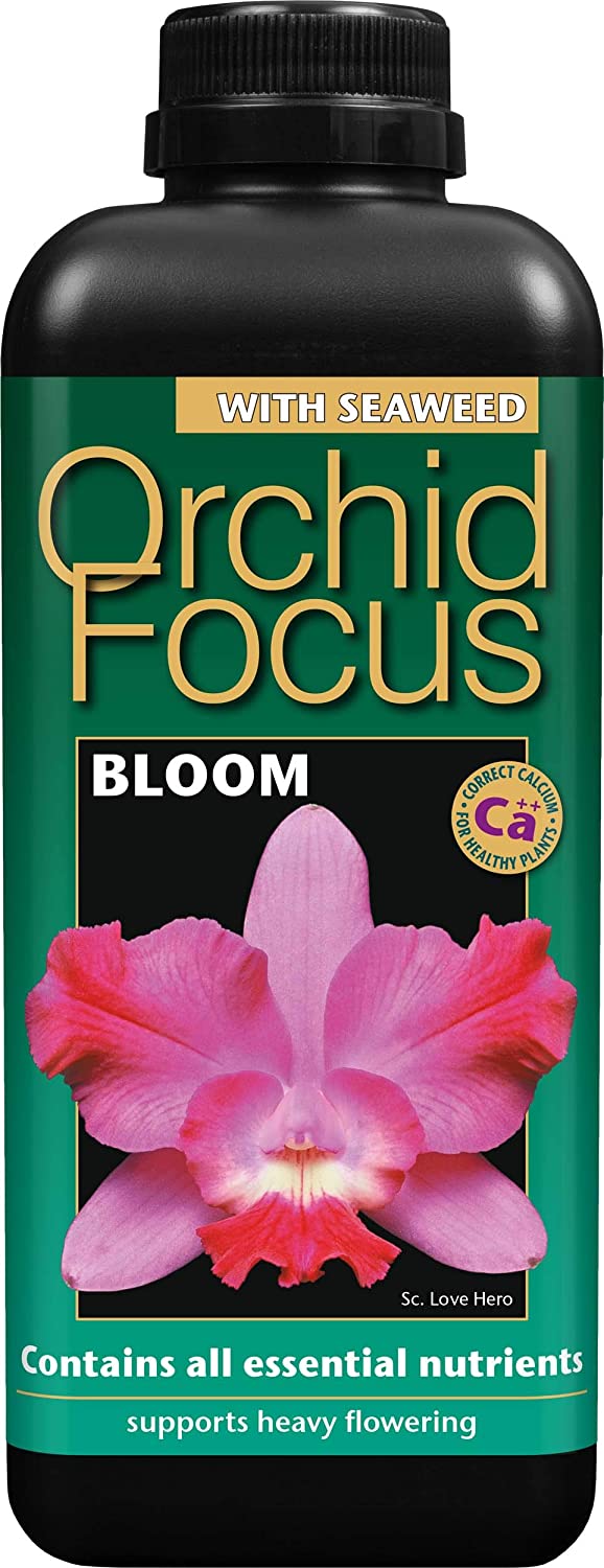 Orchid Focus Bloom 1 Litre