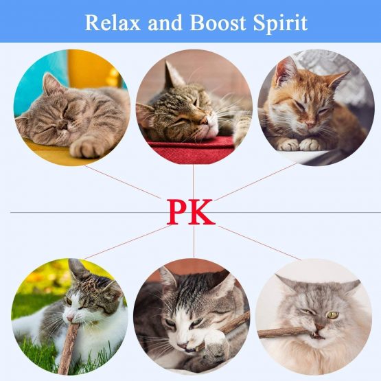 AIDIYA Cat Catnip Sticks 100% Organic Natural Matatabi Dental Treats Teeth Grinding Chew toys Olfactory Enrichment for Cat,Pack of 30 pcs - Image 4