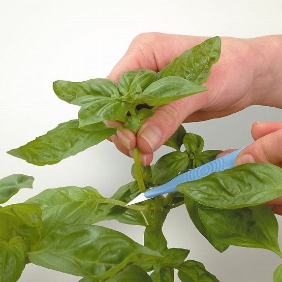 Growth Technology Root Riot - Pack of 24 - Image 4