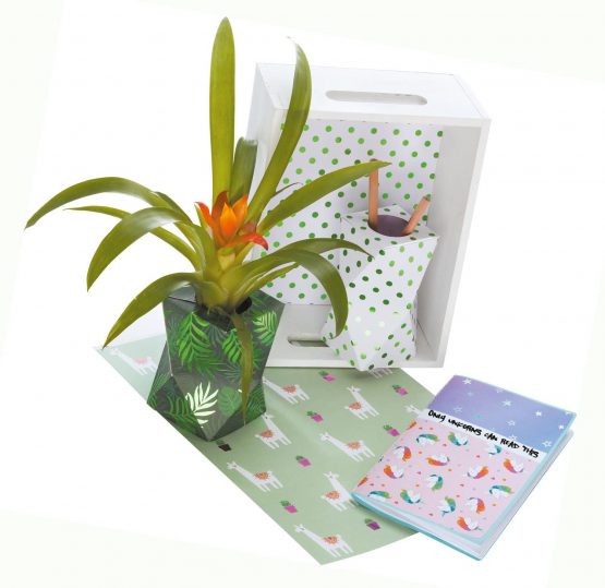 Folia - Design Paper - Image 4