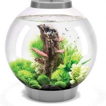 OASE 72006 biOrb Classic 30 Led, silver