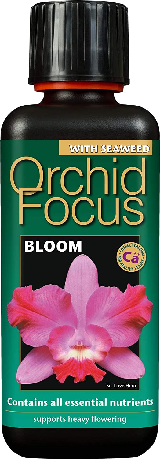 Orchid Focus Bloom 300ml