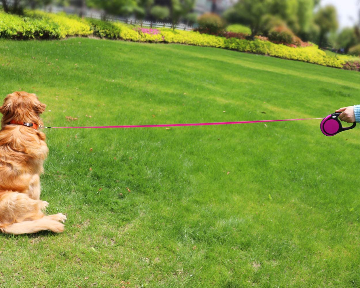 Taglory Retractable Dog Lead 5 m, Extendable Leash No-Tangle Heavy Duty Nylon Tape - Image 2