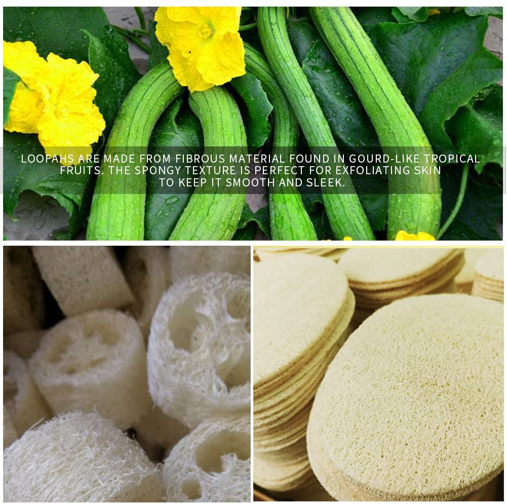 Kiloline Exfoliating Loofah Pads2 Pack 100 Natural Luffa and Terry