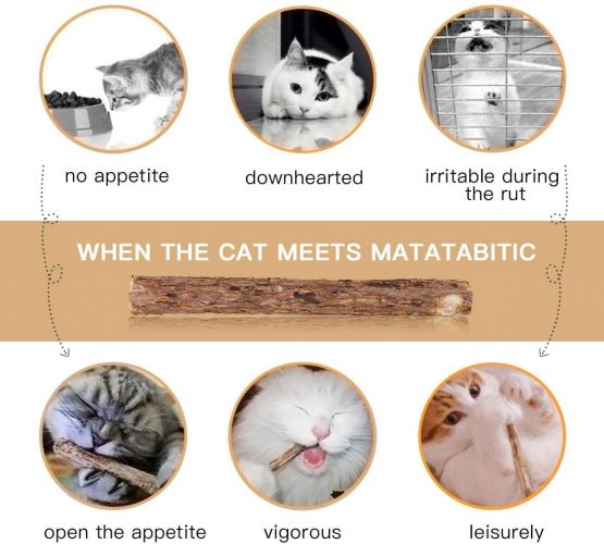 AIDIYA Cat Catnip Sticks 100% Organic Natural Matatabi Dental Treats Teeth Grinding Chew toys Olfactory Enrichment for Cat,Pack of 30 pcs - Image 2