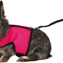 Trixie Soft Harness With Leash For Small Animals, 1.20 Metre Leash - Colour Assorted