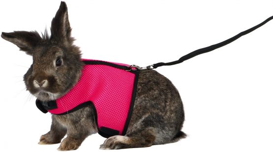 Trixie Soft Harness With Leash For Small Animals, 1.20 Metre Leash - Colour Assorted