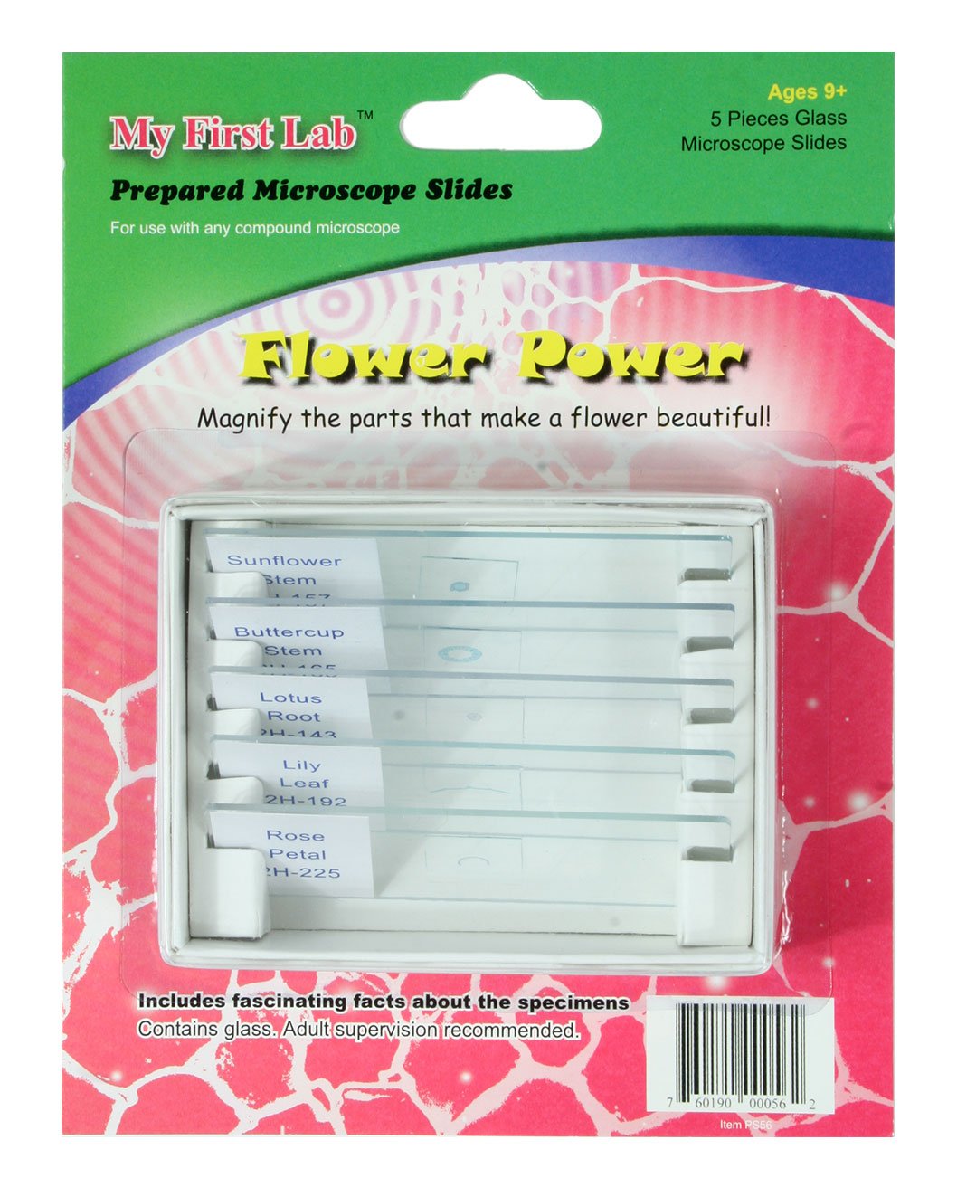 Microscope Slide Bug My First Lab Microscope Slides, Prepared Educational Sets for Kids, 40 ...