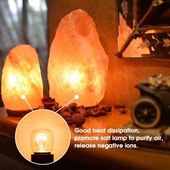 25W Incandescent Bulb, Techgomade E14 Small Edison Screw Base Light Bulbs, Salt Light Bulbs, Tungsten Light, 2700K Warm White, Dimmbale, for Salt Light, Microwave Oven, 4 Pack - Image 3