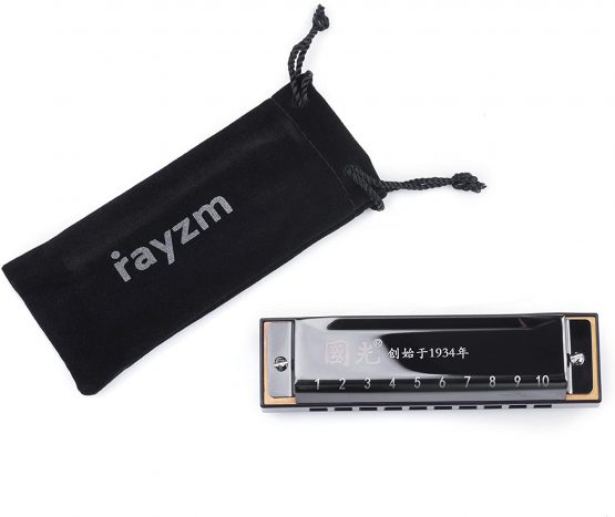 Rayzm Harmonica, 10 Holes 20 Tones Diatonic Harmonica, C key Blues Harp Harmonica for Adults & Children, Responsive Phosphor Bronze Reeds, Resin Comb