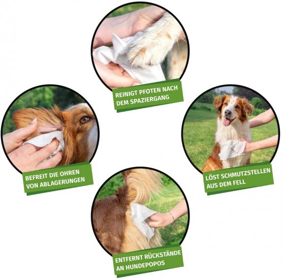 AniForte Wet Wipes for Dogs 100 Pack - XXL Natural & Biodegradable Deodorising Cleaning Wipes with Extra Fresh Scent, Hypoallergenic, Extra Mild, Gentle, Non-Tear - Image 4