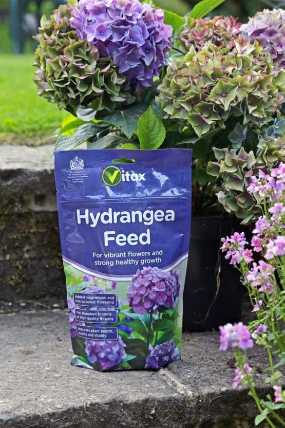 Vitax Hydrangea Feed 1KG - Image 3