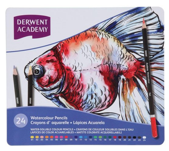 Derwent 2301942 Academy Watercolour Colouring Pencils, Set of 24, High Quality, Multicolor