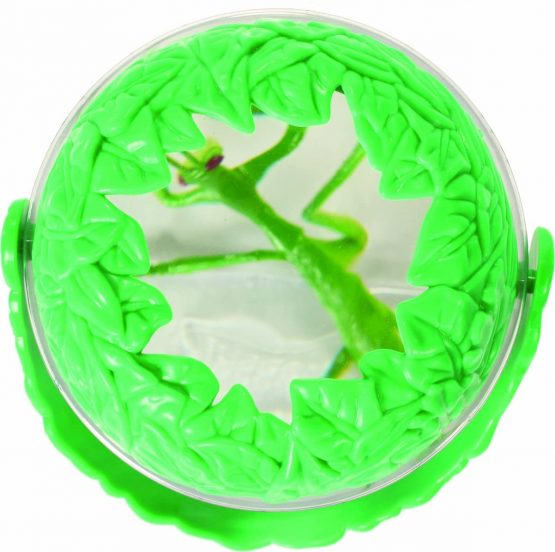 Insect Lore Magnifying Jar (Multi-Colour) - Image 2