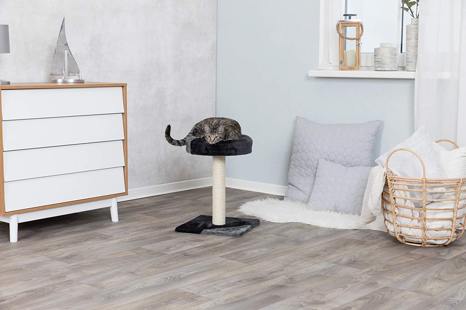 TRIXIE Cat Tree Tarifa 20.5 in grey/black, Small cat scratching post for young & small cats with a cosy resting platform - Image 2