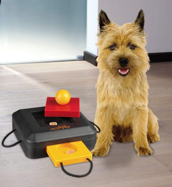 Trixie 32011 Dog Activity Gamble Box, 15 × 15 cm, assorted colors - Image 2