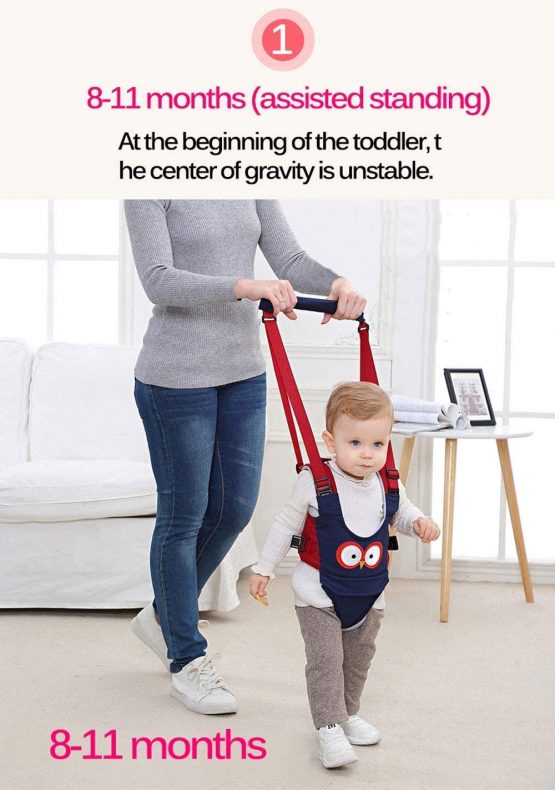 Felly Baby Walking Harness Handheld Baby Walker, Safe Stand Hand Held Toddler Leash Assistant Walking Helper, Breathable Safety Walking Harness Walking Belt for Toddler Infant, Adjustable (Blue) - Image 4