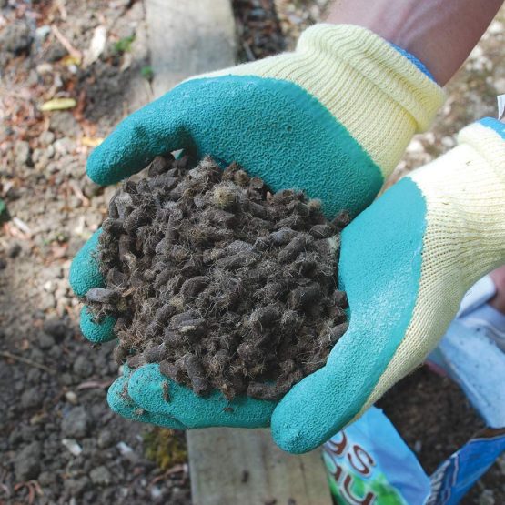 Defenders Slugs Away Wool Pellets (Slug Deterrent, Protect Gardens and Plants), 1 Litre, Grey - Image 2