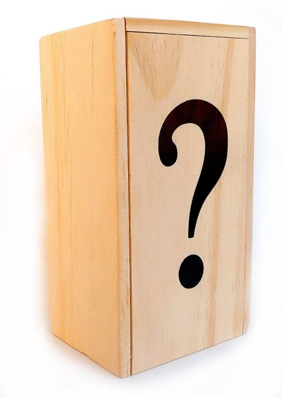 Logica Puzzles Art. The Chest ? - Wooden Brain Teaser - Secret Box - Difficulty 5/6 Incredible - Magic Money Box - Leonardo da Vinci Collection
