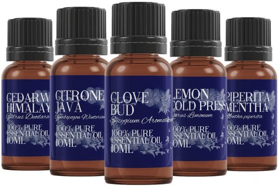 Mystic Moments | Essential Oil Starter Pack - Insect Repellent 5 x 10ml - 100% Pure - Image 2