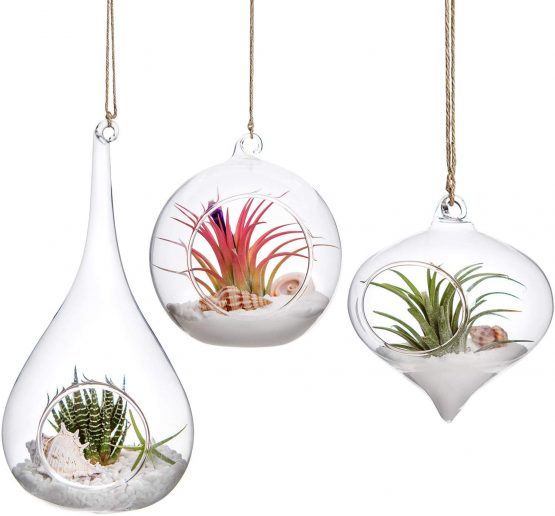 Mkouo 3 Pack Glass Hanging Planter Air Fern Holder Terrarium Plants Hanger Vase Home Decoration for Succulent Moss Tillandsias Air Plants, Olive, Globe and Teardrop