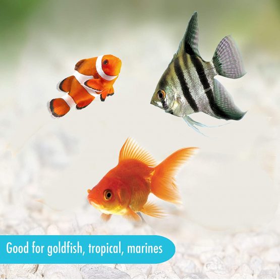 Aquarian Holiday Feeding Block, 28g - Image 4
