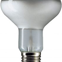 10 x 100w ES,E27 R80 Spotlight Bulb
