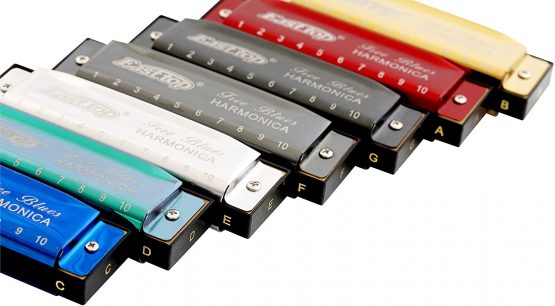 East top Diatonic Harmonica Set of 7, 10 Holes Blues Harmonica T003 Mouth Organ set, A, B, C, D, E, F and G key harmonicas for Adults, Beginner, Professionals and Students as Gift - Image 3
