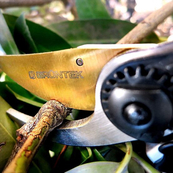 GRÜNTEK Secateurs/Pruning Shears Z-25 Forged 215mm, TITANIUM, ByPass, Garden Pruner, Scissors, Ergonomic Comfort - Image 4