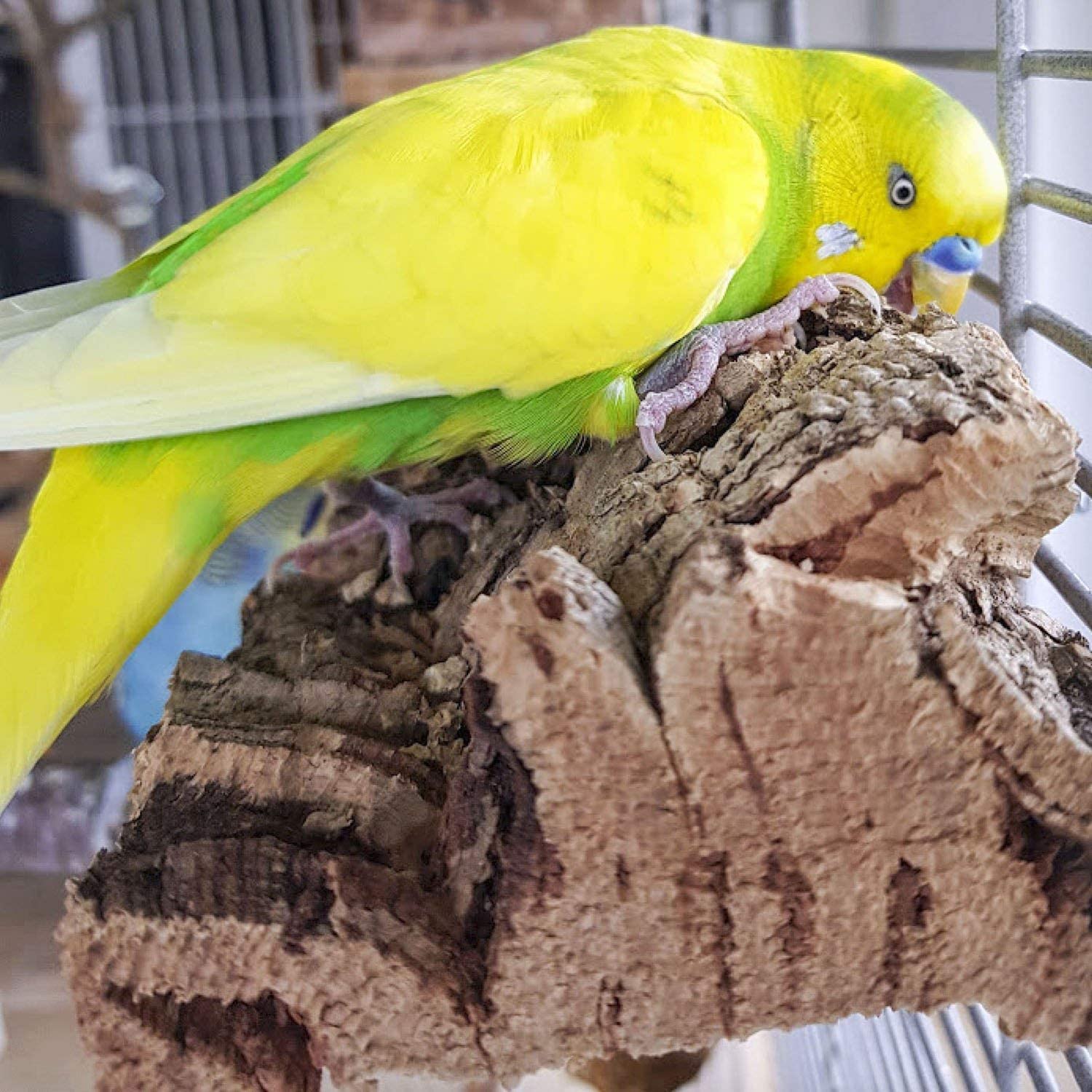 Budgie toys 2 pieces natural cork bird toys shredding toy bird cuttlefish for birds alternative budgie accessories - Image 3