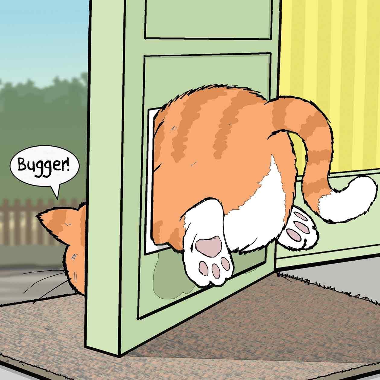 fat cat cat flap