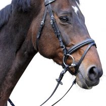 KERBL Classic bridle