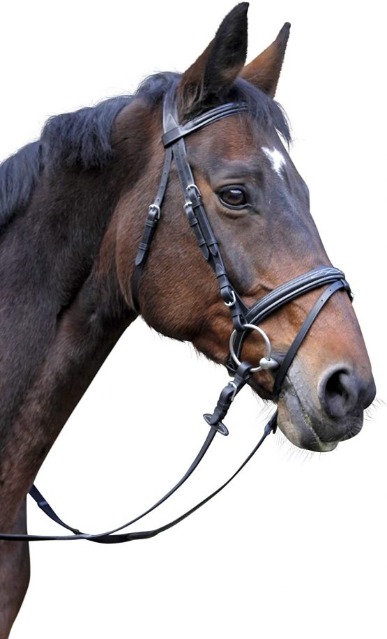 KERBL Classic bridle