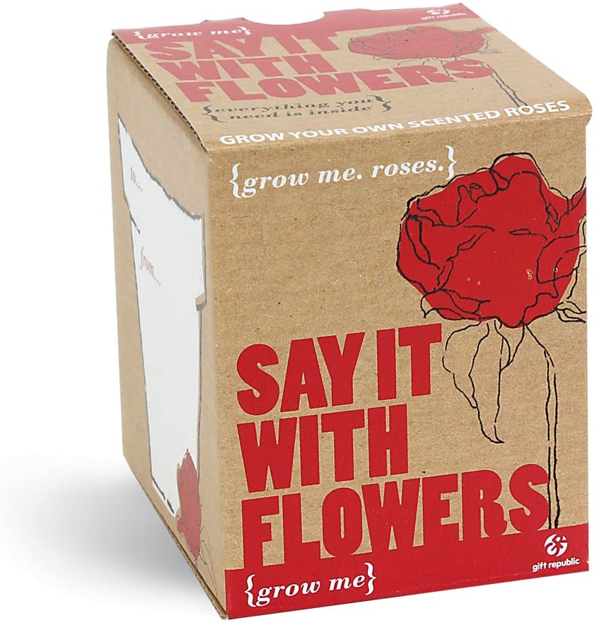 Gift Republic GR130007 Ltd Say it with Flowers Grow Me Kit, Multi
