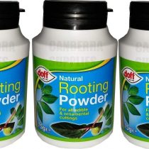 Doff Pack of 3 Natural Rooting Powder for Plant and Cuttings 75grams