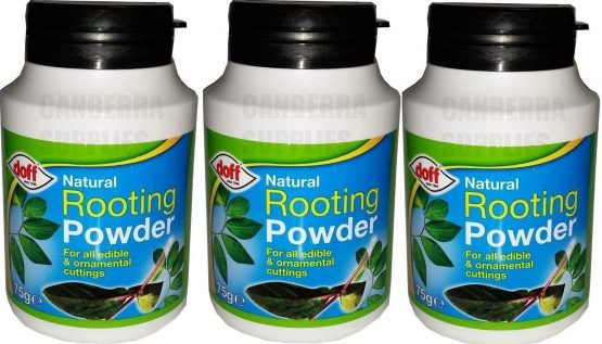 Doff Pack of 3 Natural Rooting Powder for Plant and Cuttings 75grams