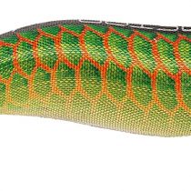 Berkley Egi Master Tintenfisch Köder