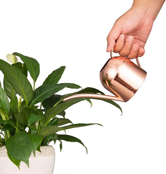 IMEEA 15oz/450ml Mini Watering Can Indoor for Kids House Desk Office Plants Bonsai Stainless Steel (Rose Gold) - Image 2