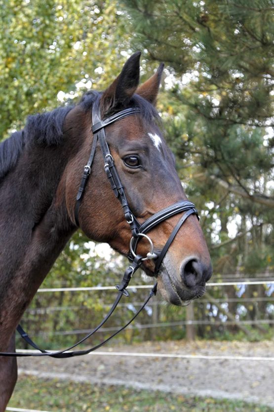 KERBL Classic bridle - Image 3