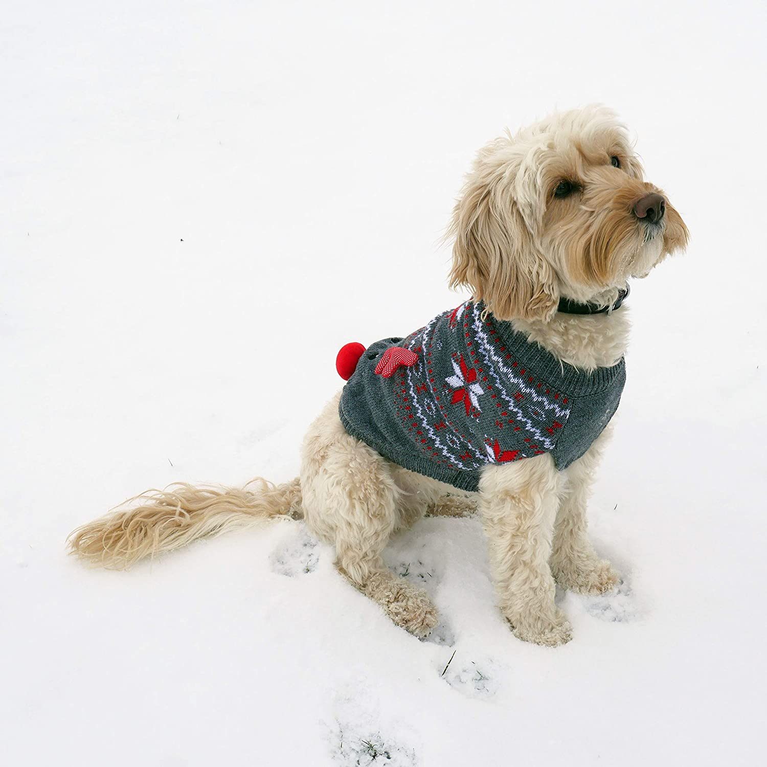 Rosewood Christmas Cupid Light Up Jumper for Dogs Small, grey - Image 2