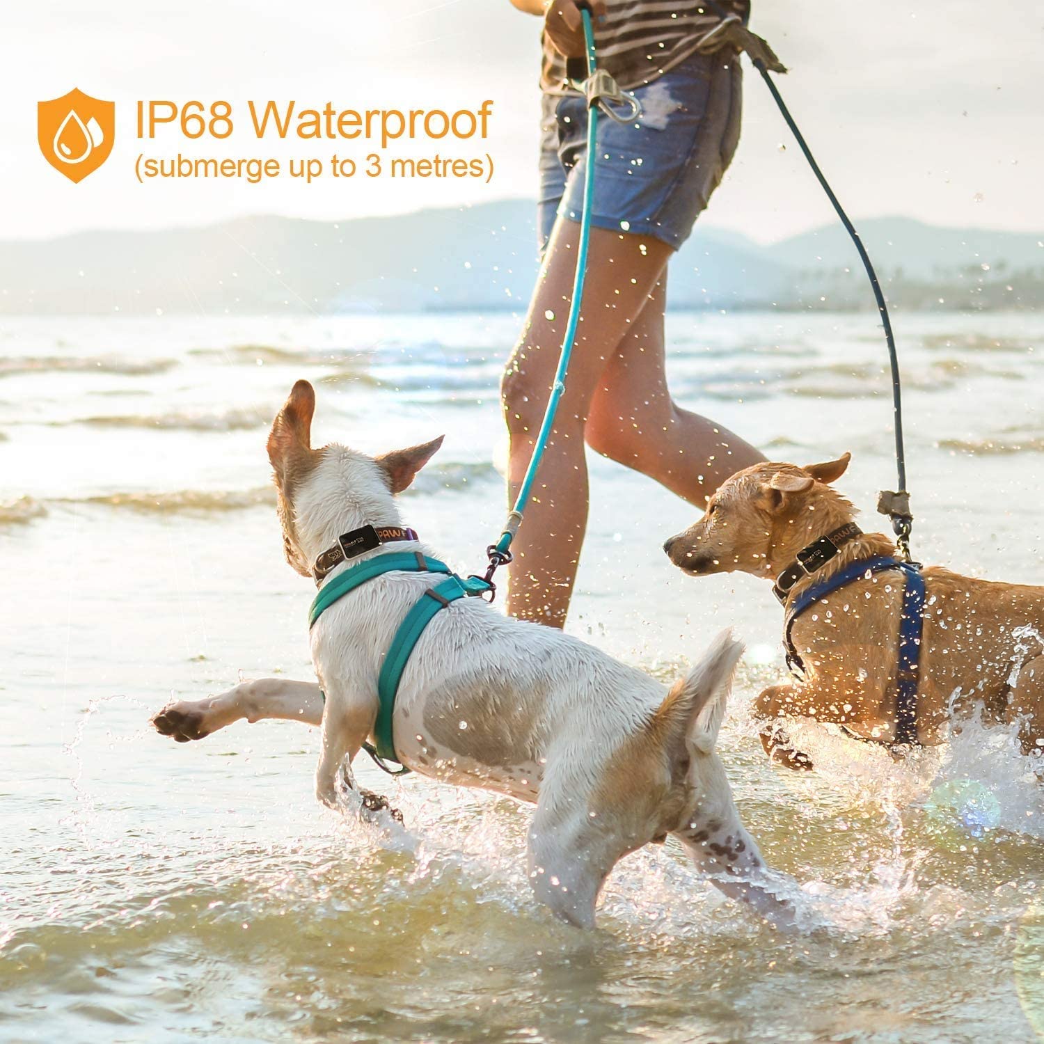 Pawfit 3 GPS Pet Tracker GPS Dog Tracker 4G Live Satellite Tracking, Multiple Smart Alerts - Image 4