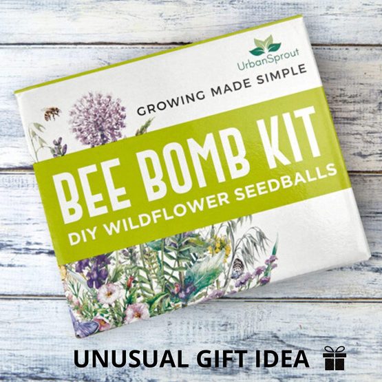 Wildflower Seed Bomb Kit Make Your Own Bee & Butterfly Friendly Bee