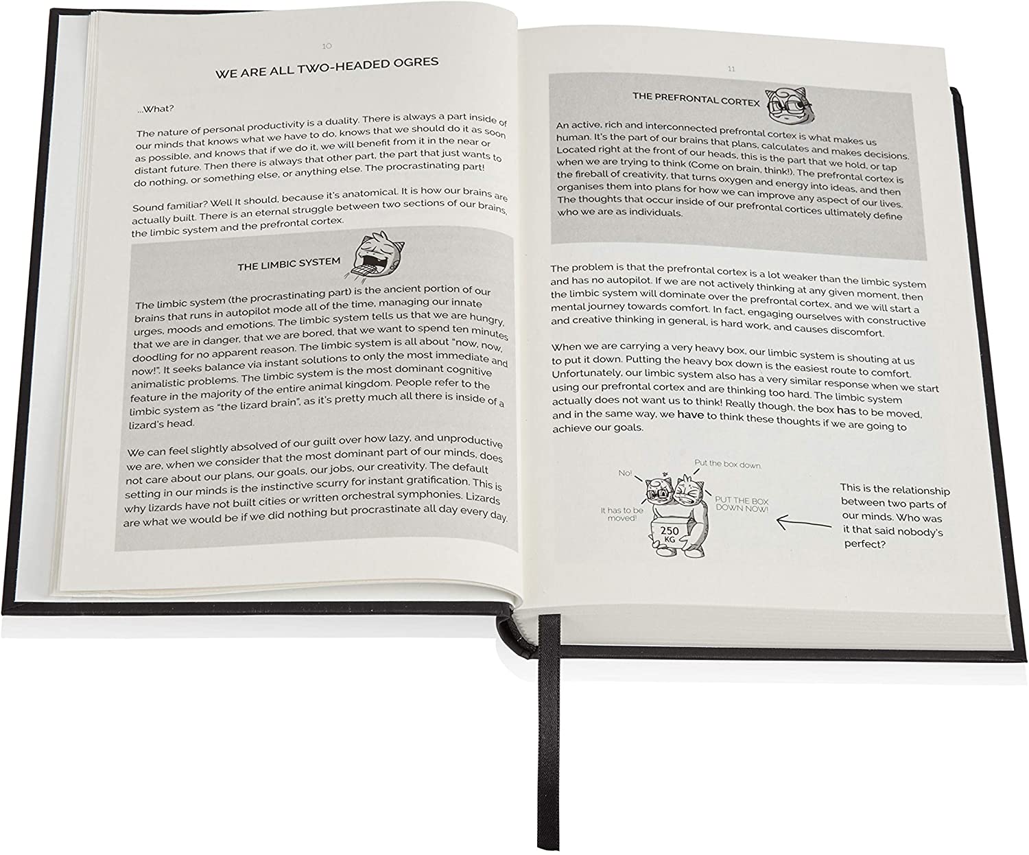 The Procrastinators Planner, Daily/Weekly Organiser Designed to Increase Productivity and Combat Procrastination - Image 3