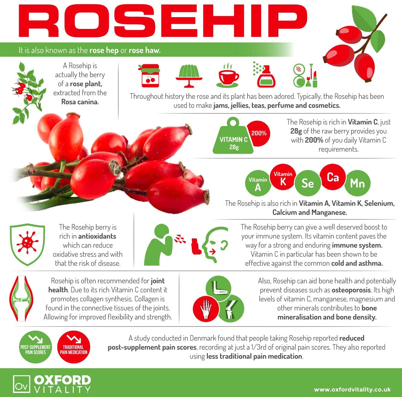 Rosehip Tablets, 2 Count (Pack of 1) - Image 4